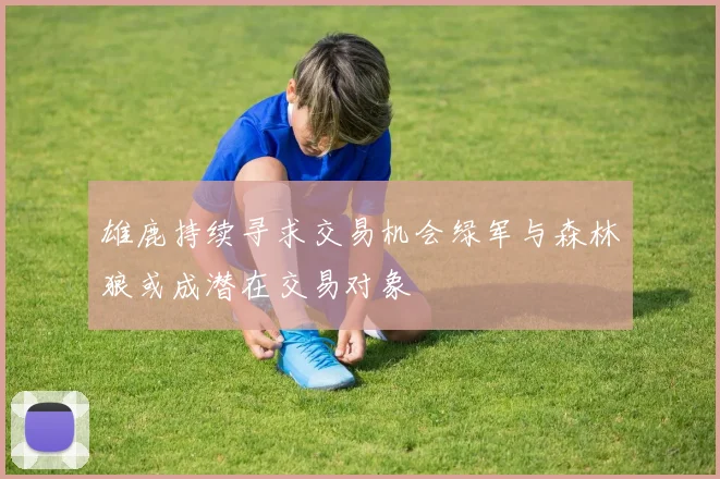雄鹿持续寻求交易机会绿军与森林狼或成潜在交易对象