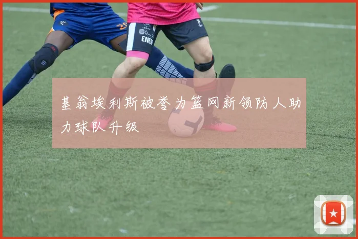 基翁埃利斯被誉为篮网新领防人助力球队升级